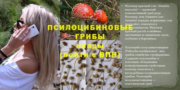 мдма Кинешма