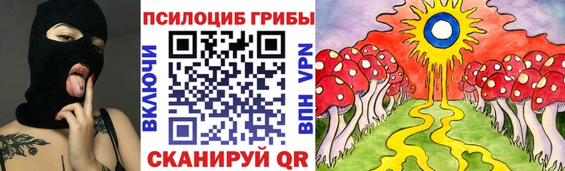 Псилоцибиновые грибы GOLDEN TEACHER  Купить закладки  Великий Устюг 
